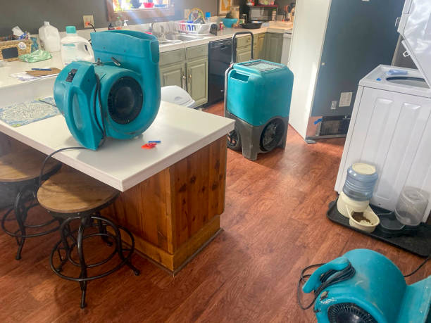 Best Water damage restoration near me  in Belmar, NJ