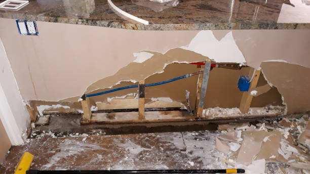 Best Mold removal after water damage  in Belmar, NJ