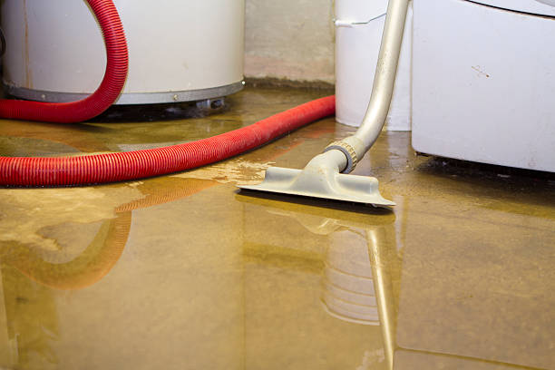 Best Commercial water damage restoration  in Belmar, NJ