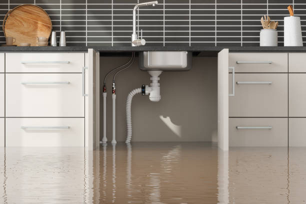 Best Residential water damage restoration  in Belmar, NJ