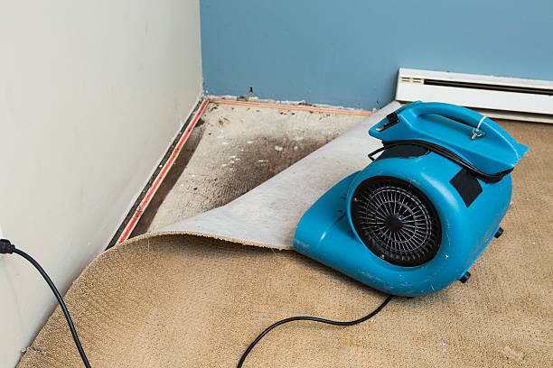 Best 24/7 water damage repair  in Belmar, NJ